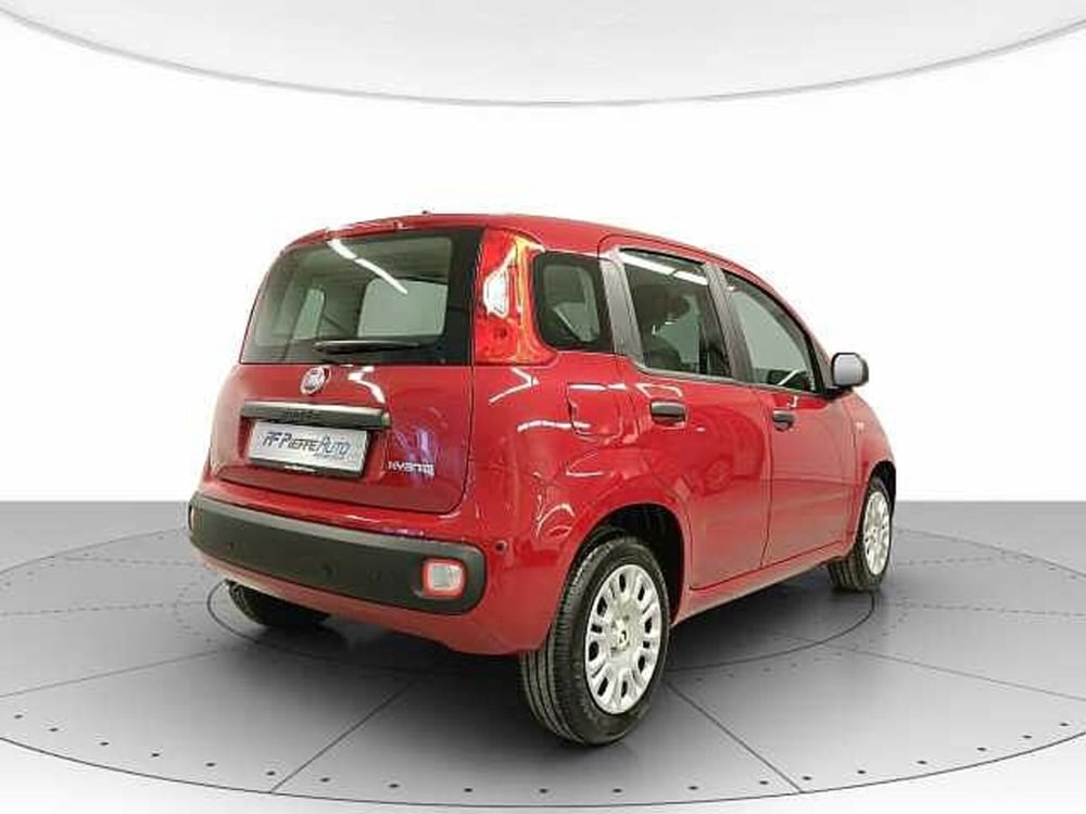 Fiat Panda nuova a Teramo (4)