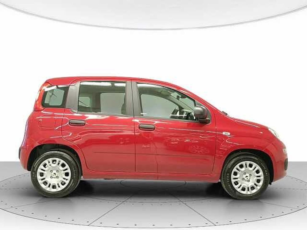 Fiat Panda nuova a Teramo (5)