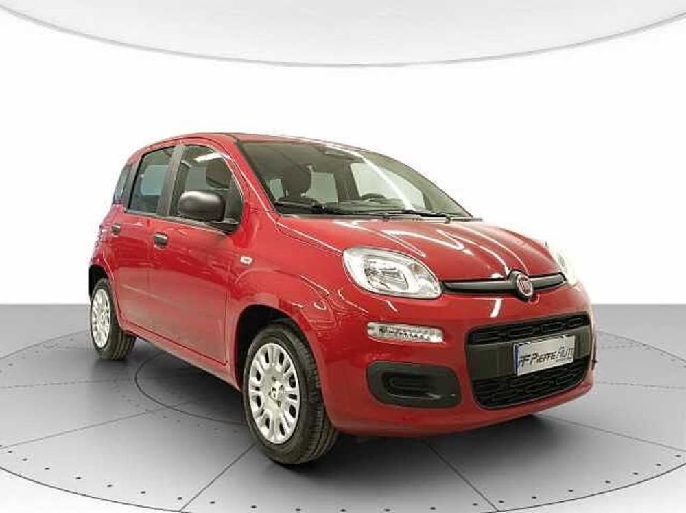Fiat Panda nuova a Teramo (6)