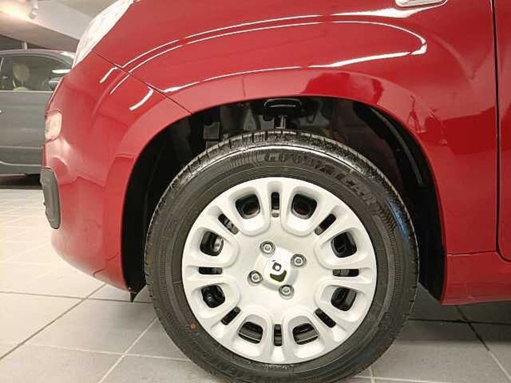 Fiat Panda nuova a Teramo (7)