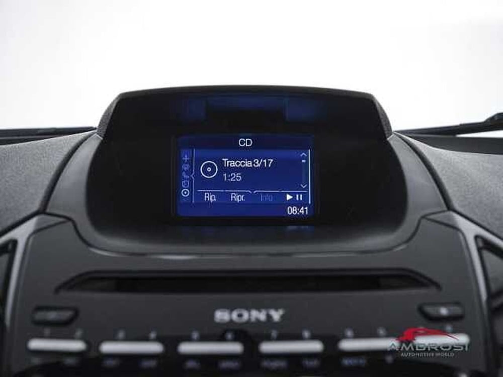 Ford EcoSport usata a Perugia (16)