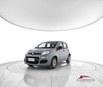 Fiat Panda 1.2 Easy del 2018 usata a Corciano