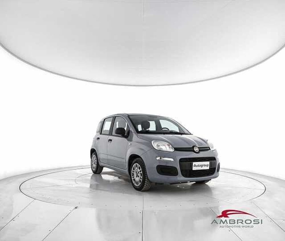 Fiat Panda usata a Perugia (2)