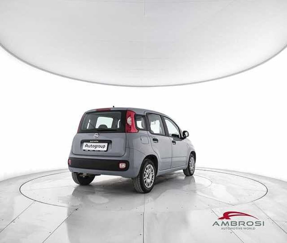 Fiat Panda usata a Perugia (3)