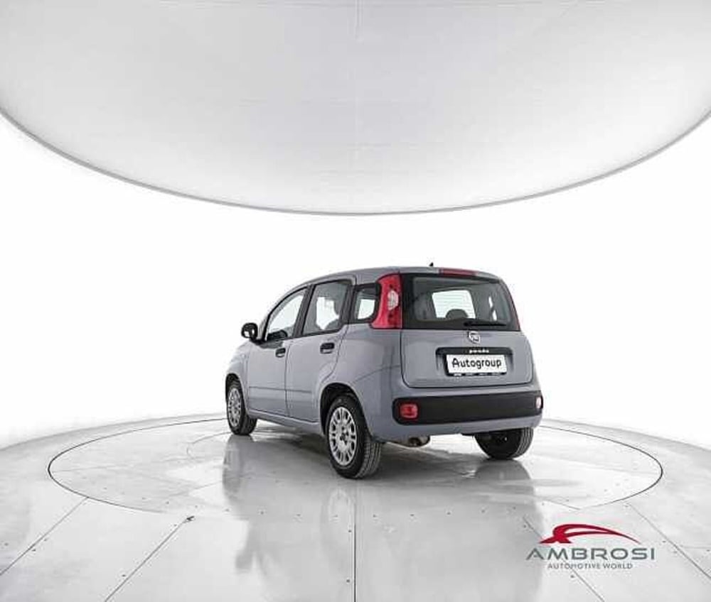 Fiat Panda usata a Perugia (4)