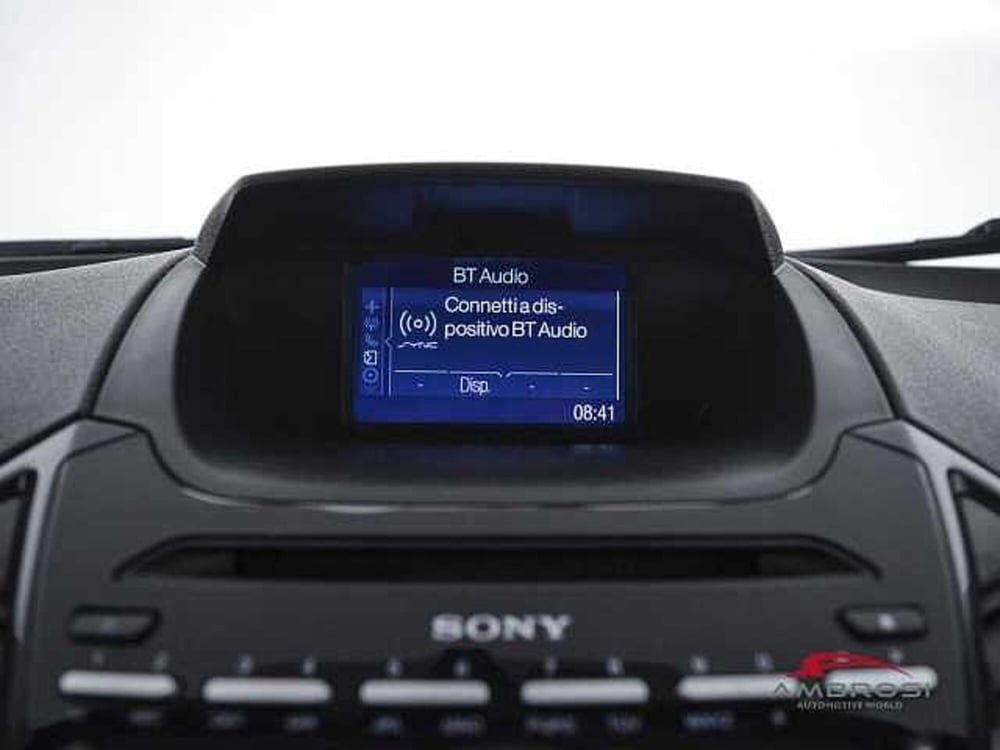 Ford EcoSport usata a Viterbo (14)