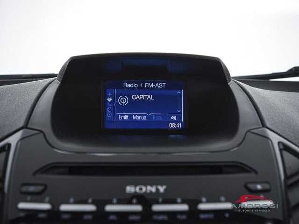 Ford EcoSport usata a Viterbo (15)