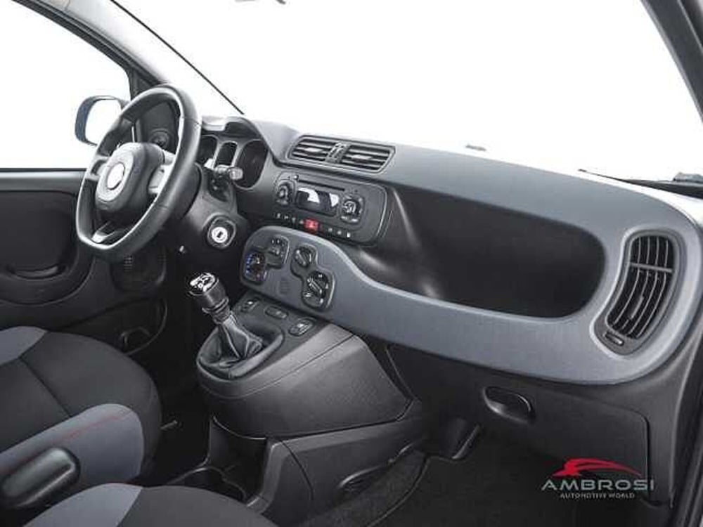 Fiat Panda usata a Viterbo (12)