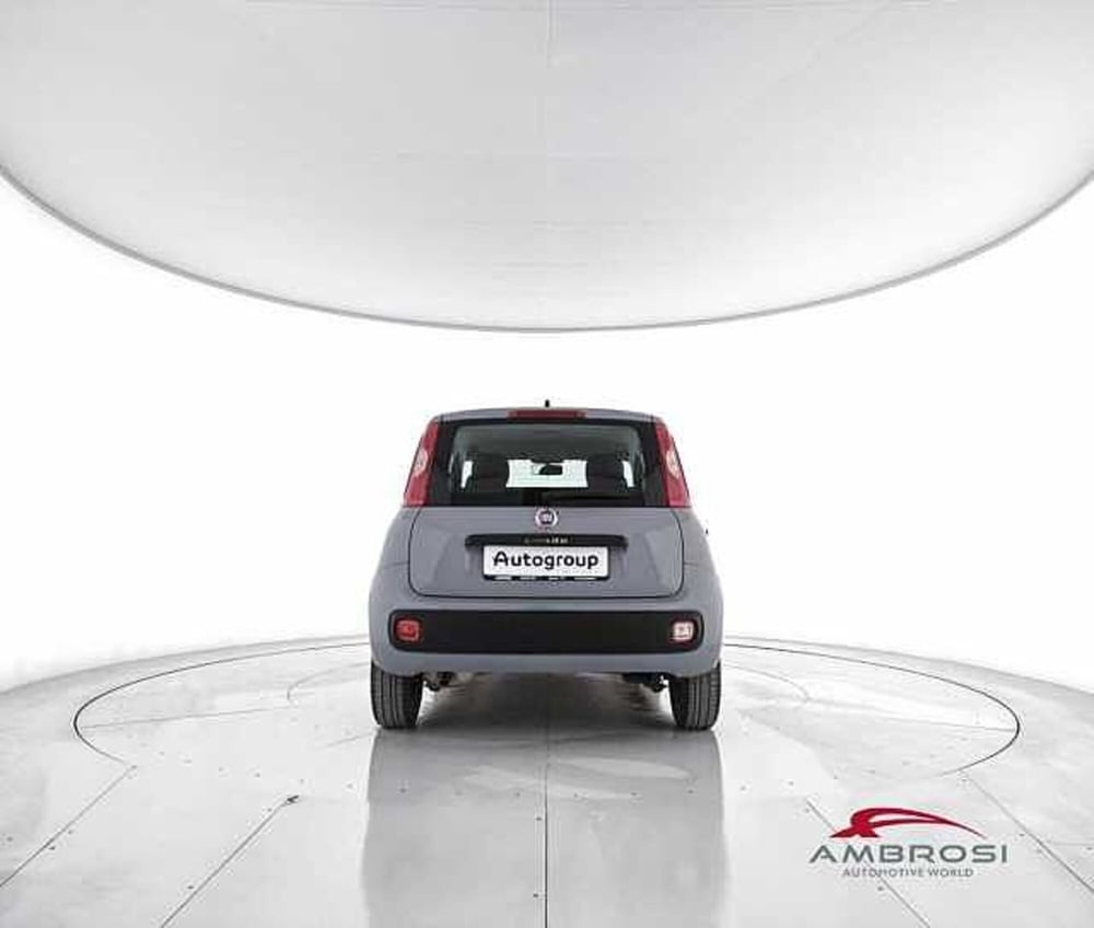 Fiat Panda usata a Viterbo (6)