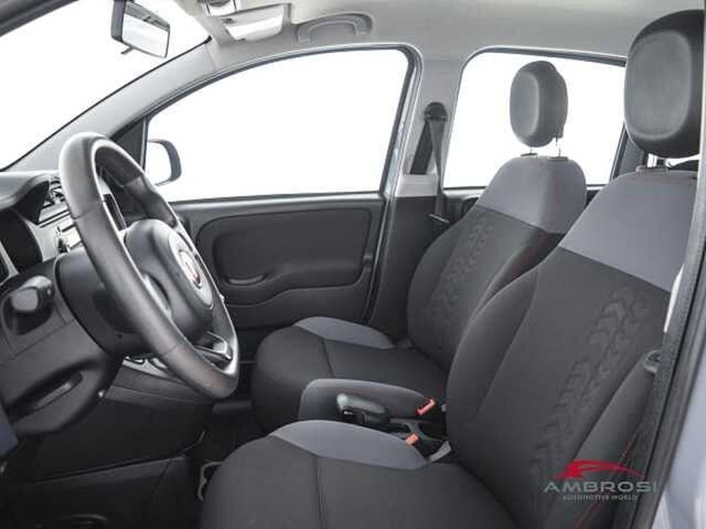 Fiat Panda usata a Viterbo (9)