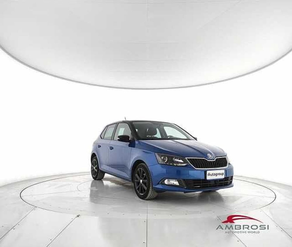 Skoda Fabia usata a Viterbo (2)