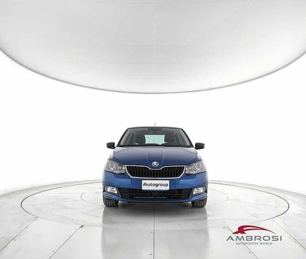 Skoda Fabia usata a Viterbo (5)