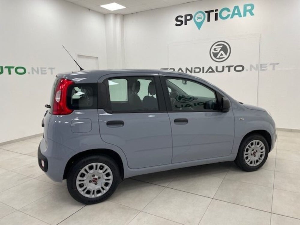 Fiat Panda usata a Alessandria (15)