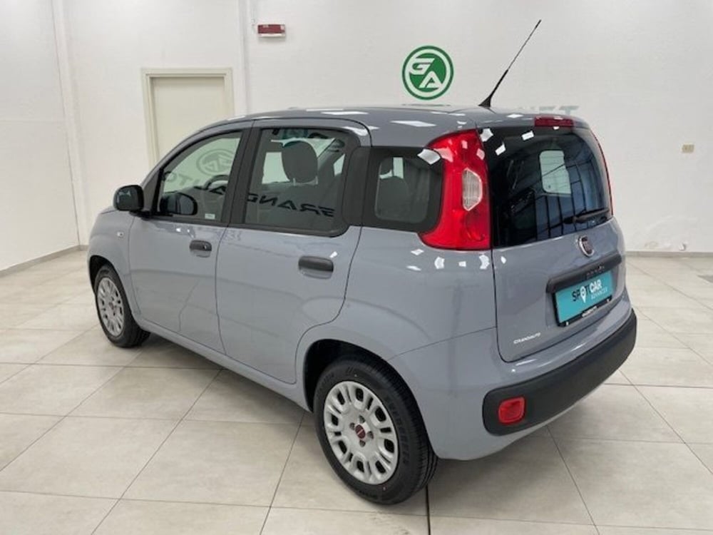 Fiat Panda usata a Alessandria (16)