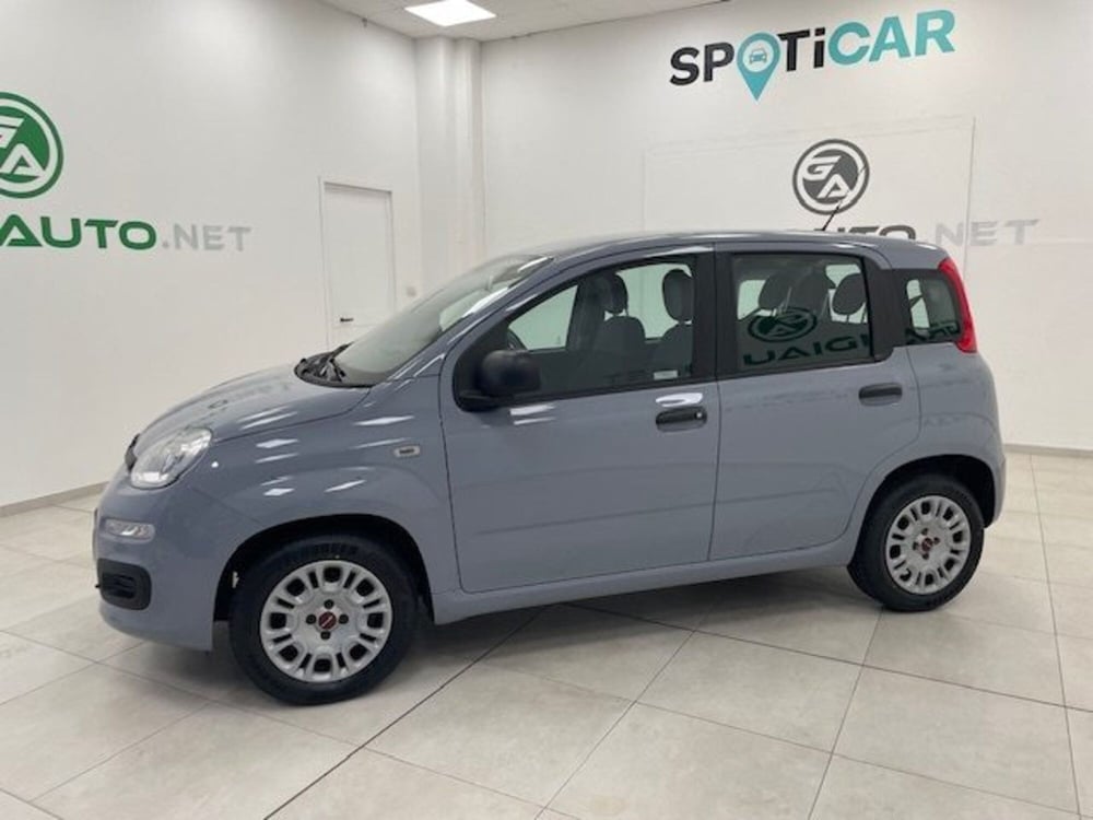 Fiat Panda usata a Alessandria (2)