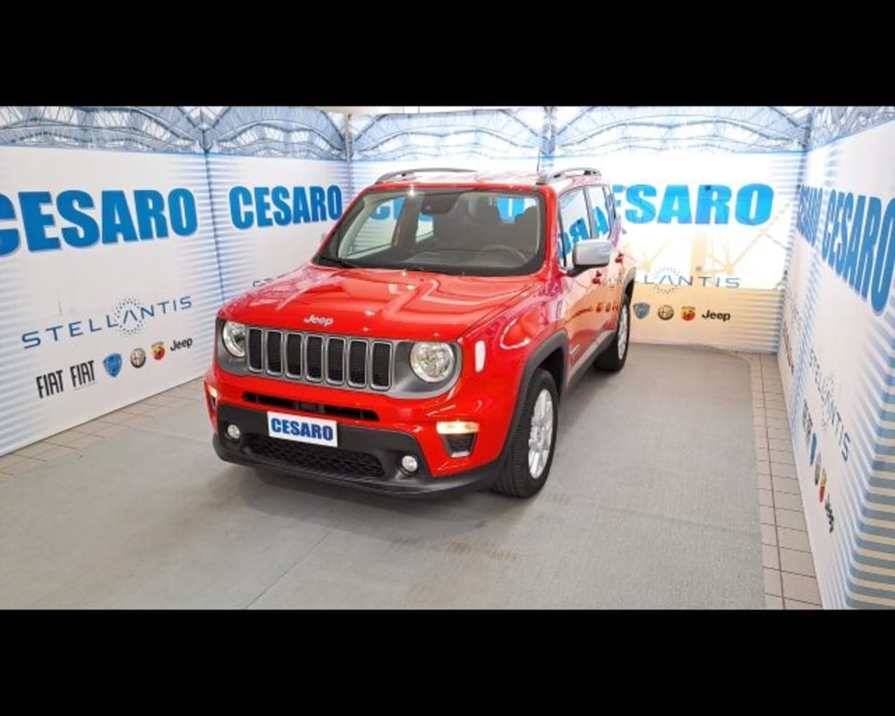 Jeep Renegade usata a Aosta (2)