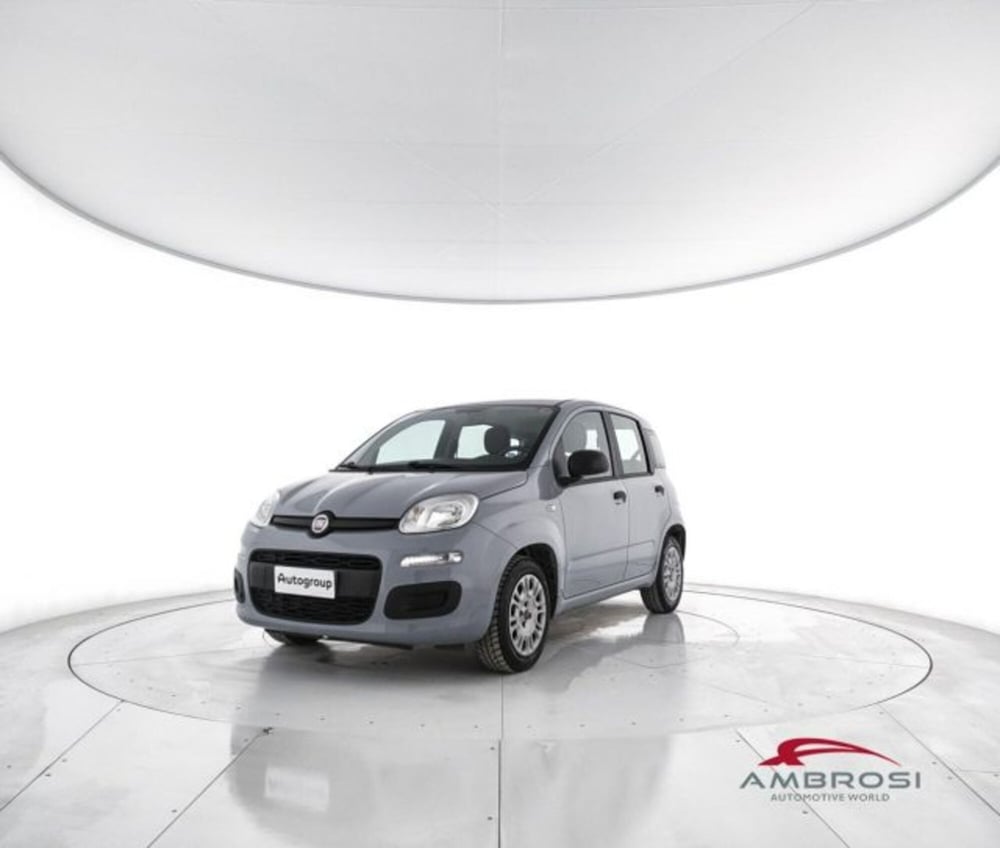 Fiat Panda usata a Perugia