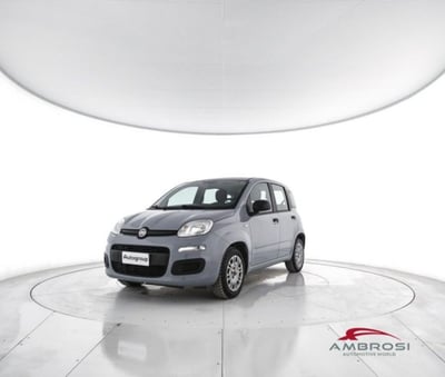 Fiat Panda 1.2 EasyPower Easy del 2018 usata a Corciano