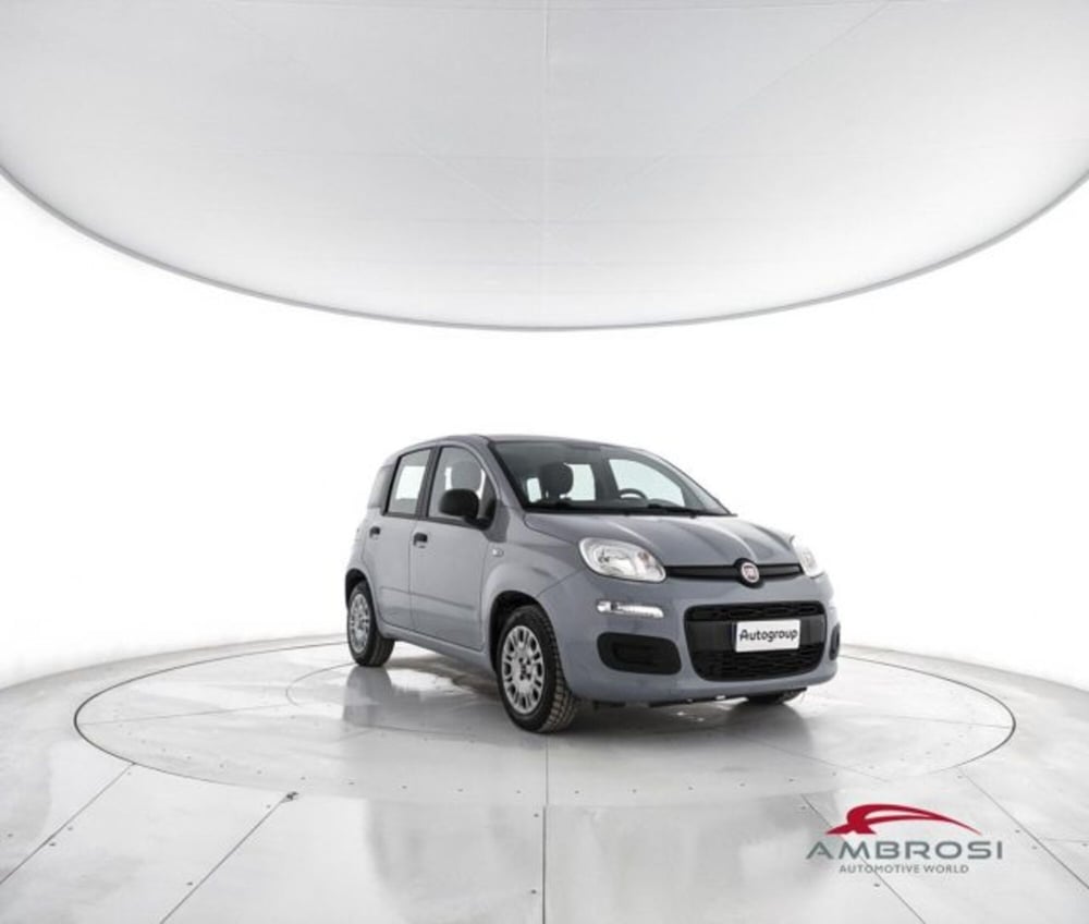 Fiat Panda usata a Perugia (2)