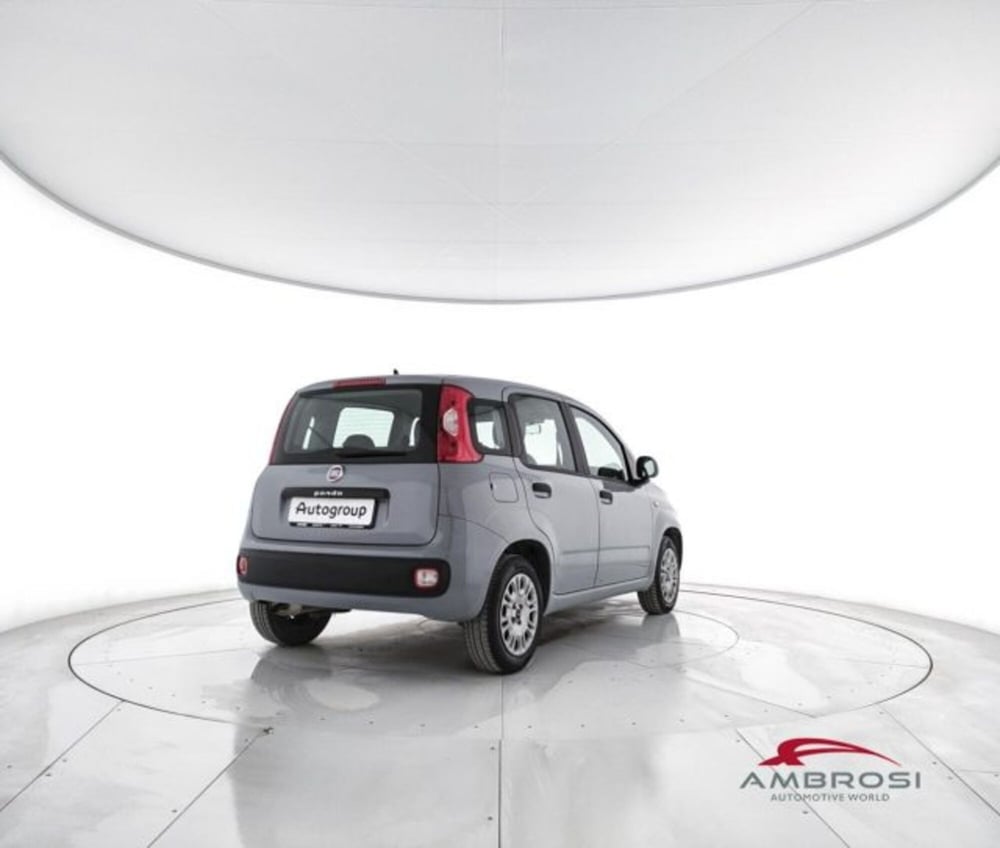 Fiat Panda usata a Perugia (3)