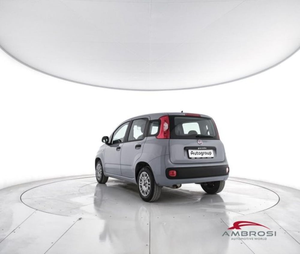 Fiat Panda usata a Perugia (4)
