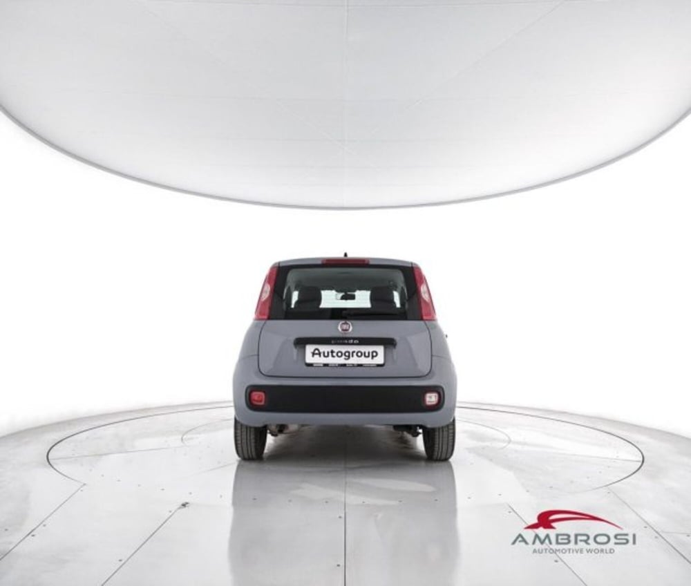 Fiat Panda usata a Perugia (6)