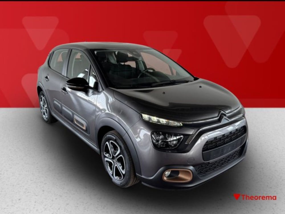 Citroen C3 usata a Torino (7)