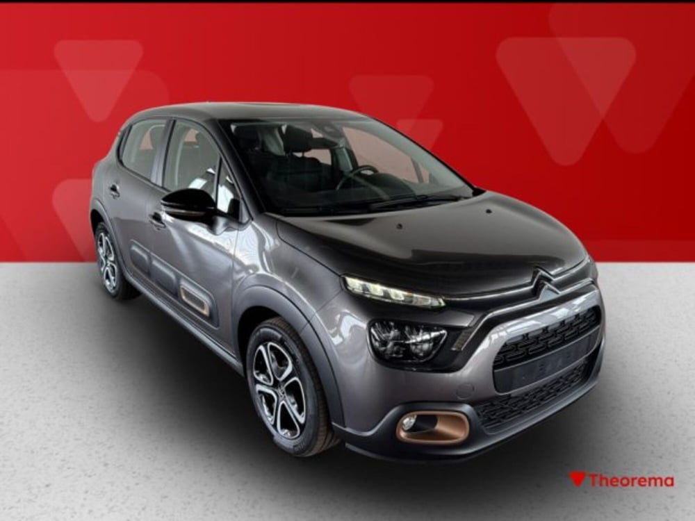Citroen C3 usata a Torino (7)