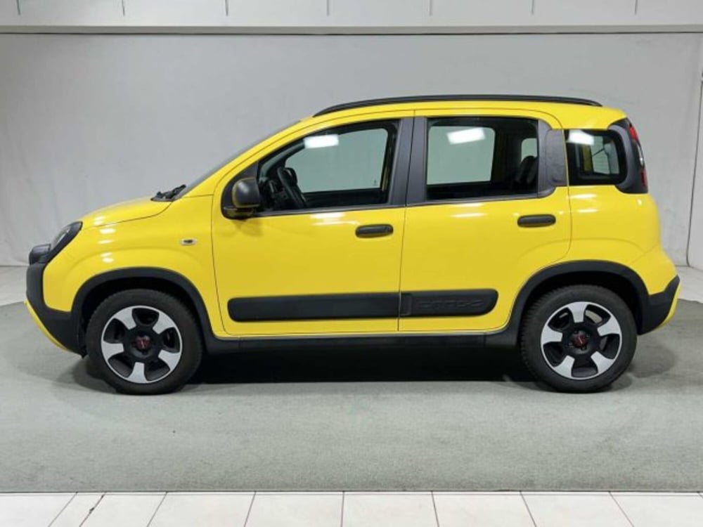 Fiat Panda usata a Sondrio (2)