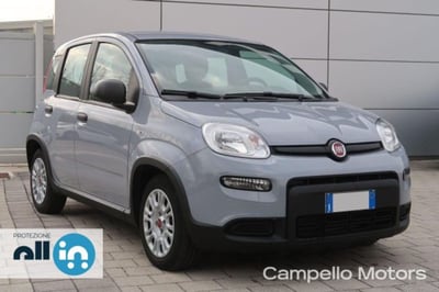 Fiat Panda 1.0 firefly hybrid s&amp;s 70cv 5p.ti del 2023 usata a Venezia