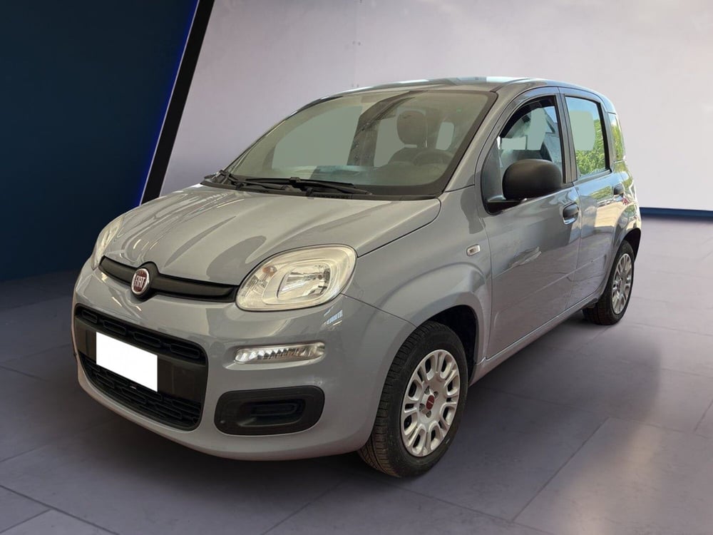 Fiat Panda usata a Torino (2)