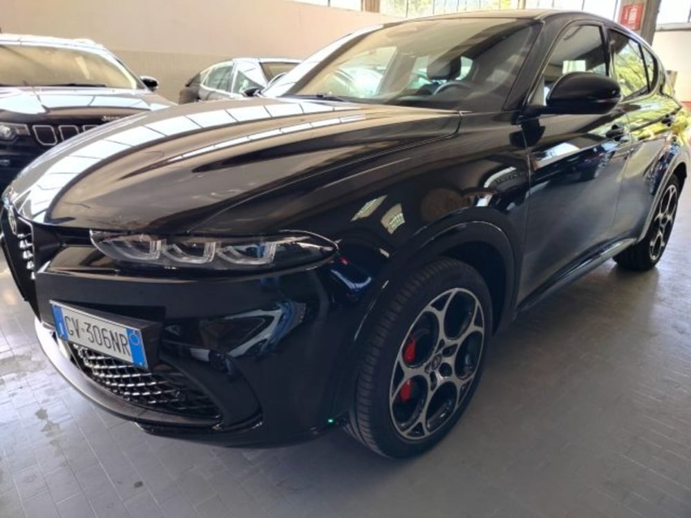Alfa Romeo Tonale usata a Forlì-Cesena (12)