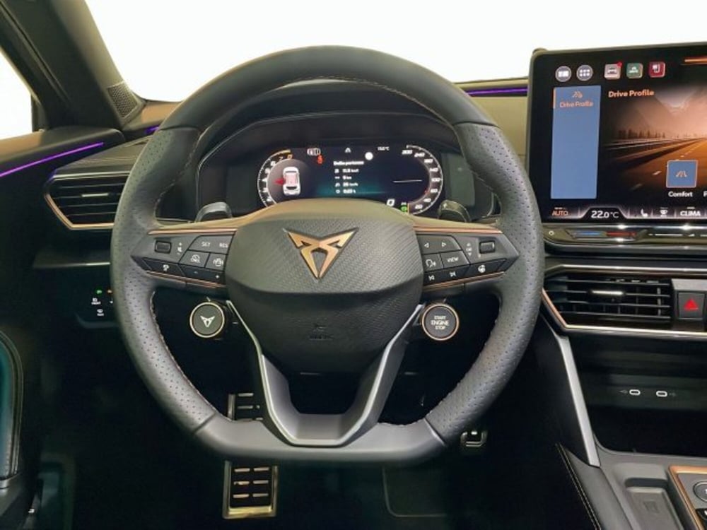 Cupra Formentor usata a Vicenza (9)