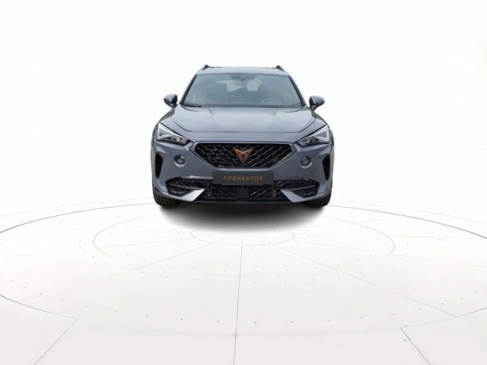Cupra Formentor usata a Vicenza (2)