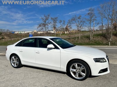 Audi A4 2.0 TDI 143CV F.AP. Advanced del 2008 usata a Busso