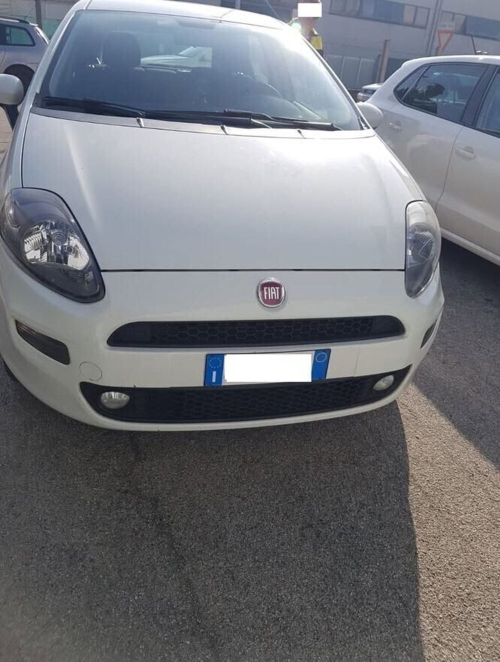Fiat Punto usata a Padova