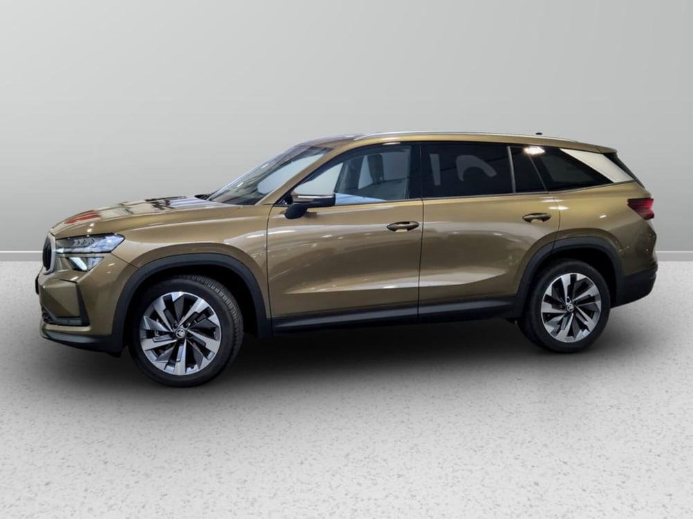 Skoda Kodiaq usata a Padova (2)