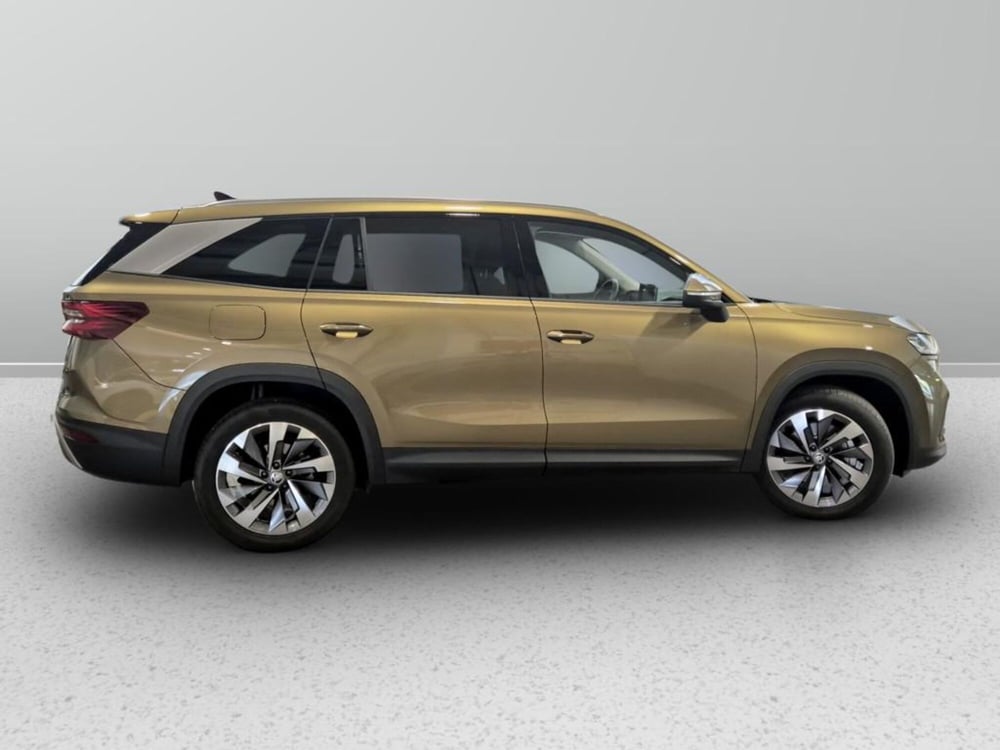 Skoda Kodiaq usata a Padova (5)
