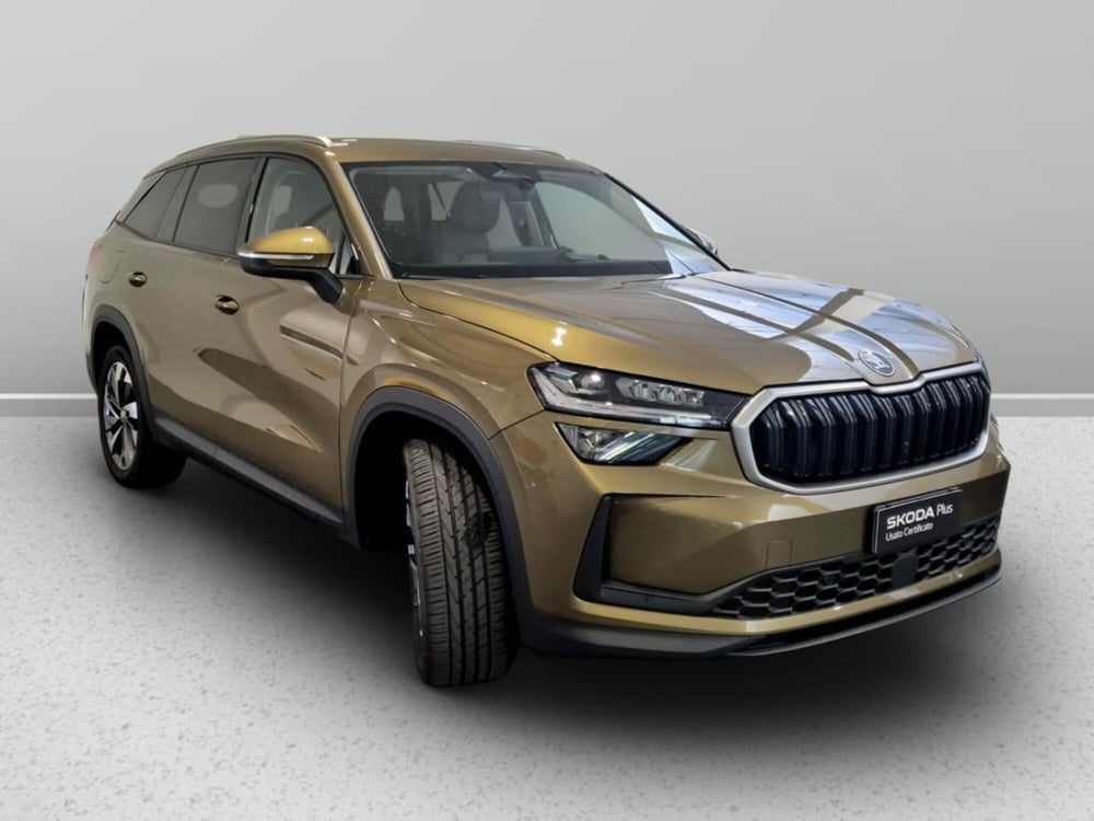 Skoda Kodiaq usata a Padova (6)