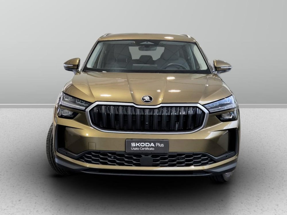 Skoda Kodiaq usata a Padova (7)
