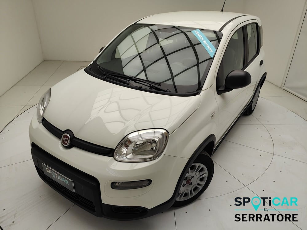 Fiat Panda usata a Como (15)