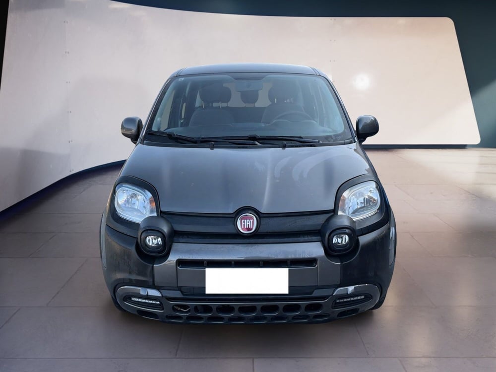 Fiat Panda Cross usata a Torino