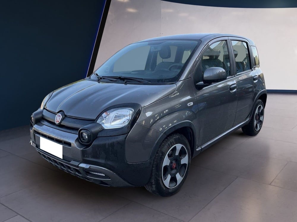 Fiat Panda Cross usata a Torino (2)
