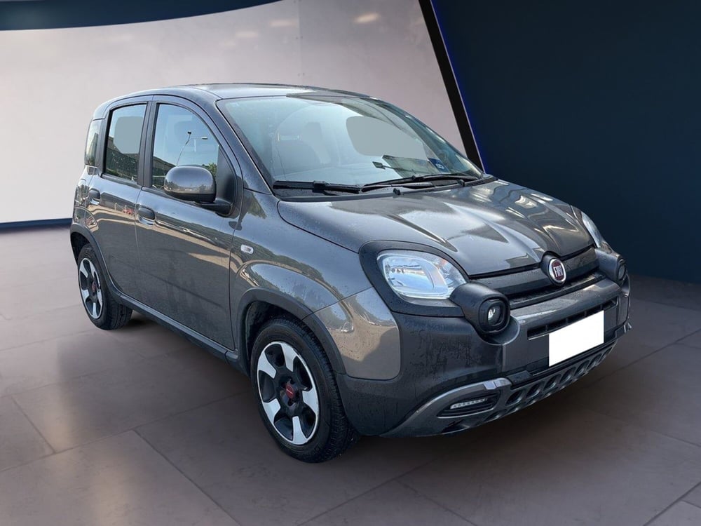 Fiat Panda Cross usata a Torino (3)