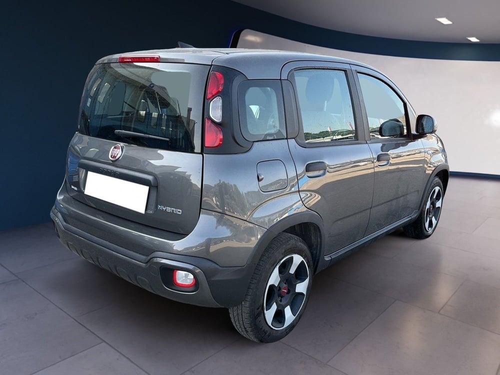 Fiat Panda Cross usata a Torino (4)