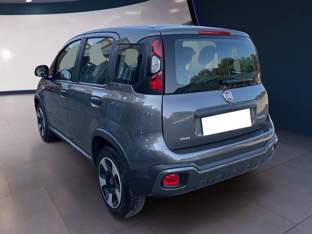 Fiat Panda Cross usata a Torino (5)