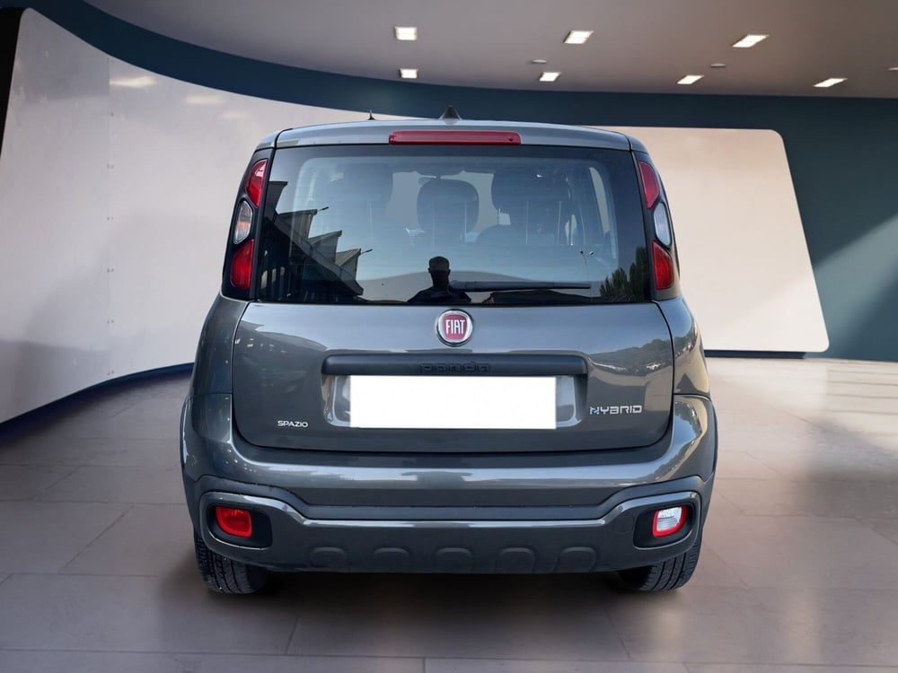 Fiat Panda Cross usata a Torino (6)
