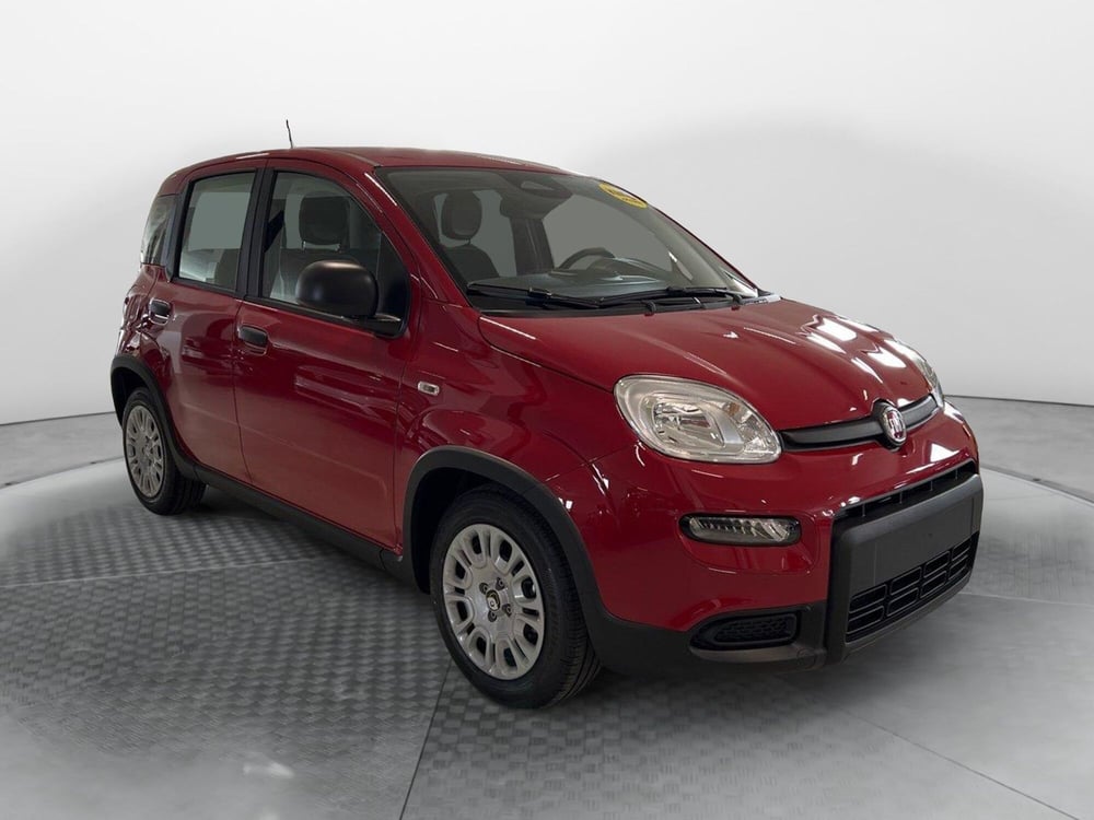 Fiat Panda nuova a Pisa