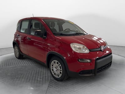 Fiat Panda Elettra nuova a Ponsacco