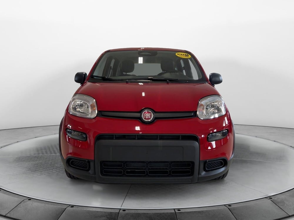 Fiat Panda nuova a Pisa (2)